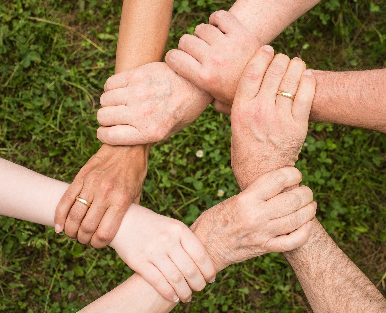 Several people's hands, from young to older, clasping one another's wrists in a circle over green grass